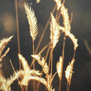 妓女潮喷的视频
