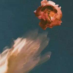 刘涛帐篷叫的很好看
