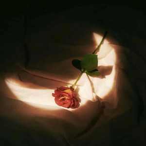 东云美玲最经典十部短剧视频
