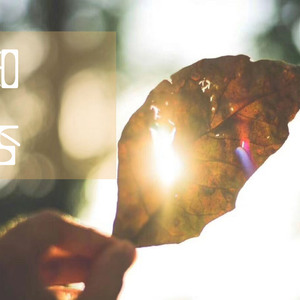 日本变态鸡巴插乳头视频
