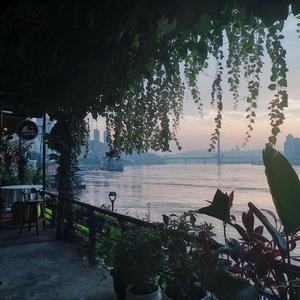 国产99996在线亚洲
