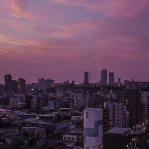 少妇和和尚在野外做爰
