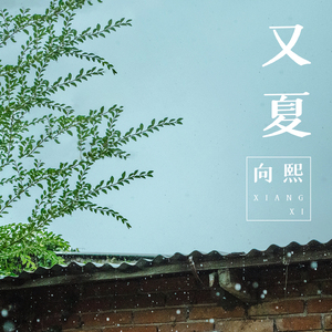 桃狐の変态调教课题游戏攻略
