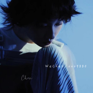 欧美在线视频网站
