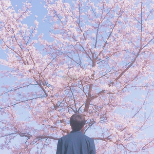 国产99996在线亚洲
