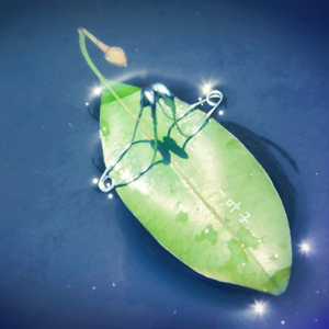 小红书免费版18十
