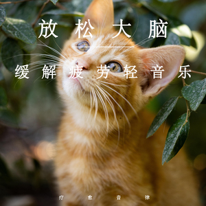 日本变态鸡巴插乳头视频
